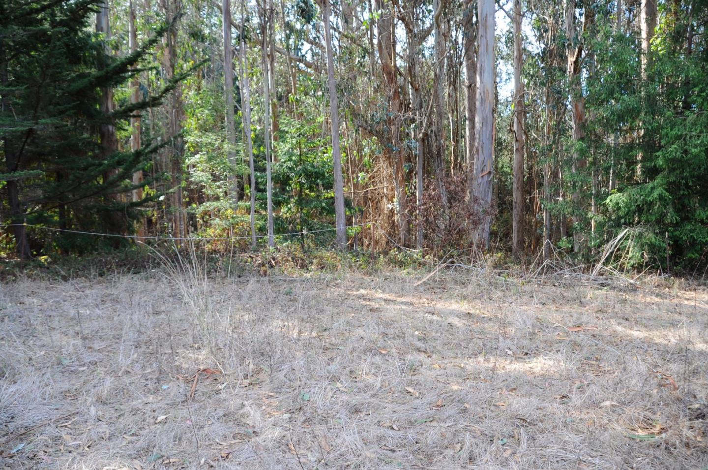 425 DEHOFF CANYON Road, HALF MOON BAY, California 94019, ,Lots And Land,For Sale,DEHOFF CANYON Road,40962284