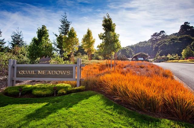 5451 Quail Way, CARMEL, California 93923, ,Lots And Land,For Sale,Quail Way,40962175