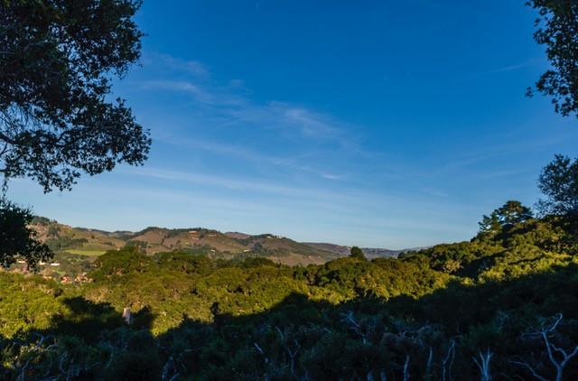 5451 Quail Way, CARMEL, California 93923, ,Lots And Land,For Sale,Quail Way,40962175