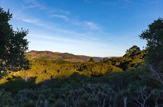 5451 Quail Way, CARMEL, California 93923, ,Lots And Land,For Sale,Quail Way,40962175