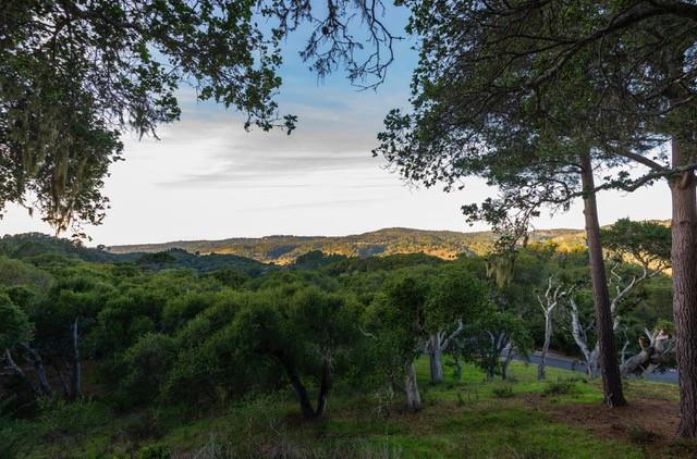 5451 Quail Way, CARMEL, California 93923, ,Lots And Land,For Sale,Quail Way,40962175