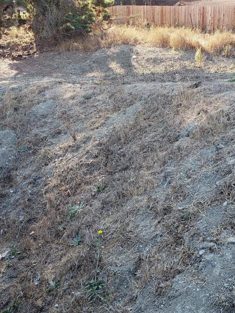 0 Montera Court, EL SOBRANTE, California 94803, ,Lots And Land,For Sale,Montera Court,40963292