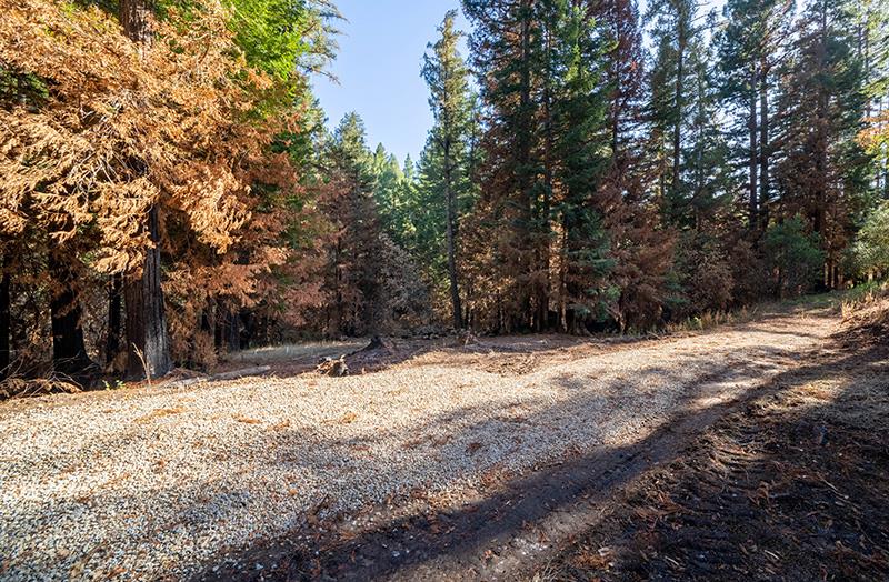 Lot 59 Kings Highway, BOULDER CREEK, California 95006, ,Lots And Land,For Sale,Kings Highway,40964068