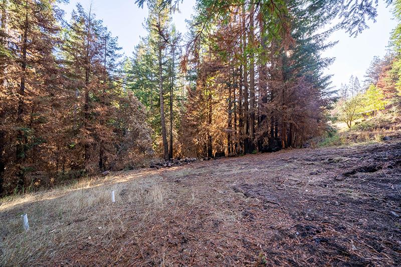 Lot 59 Kings Highway, BOULDER CREEK, California 95006, ,Lots And Land,For Sale,Kings Highway,40964068