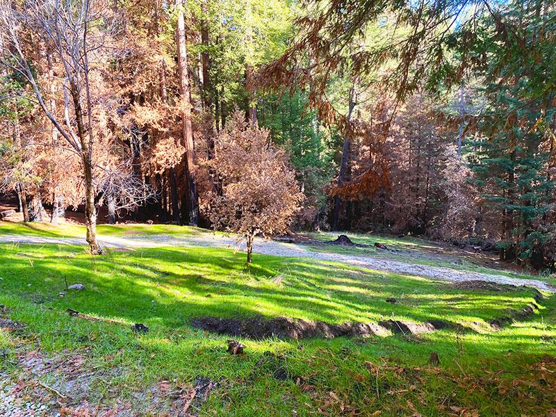 Lot 59 Kings Highway, BOULDER CREEK, California 95006, ,Lots And Land,For Sale,Kings Highway,40964068