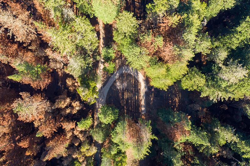 Lot 59 Kings Highway, BOULDER CREEK, California 95006, ,Lots And Land,For Sale,Kings Highway,40964068