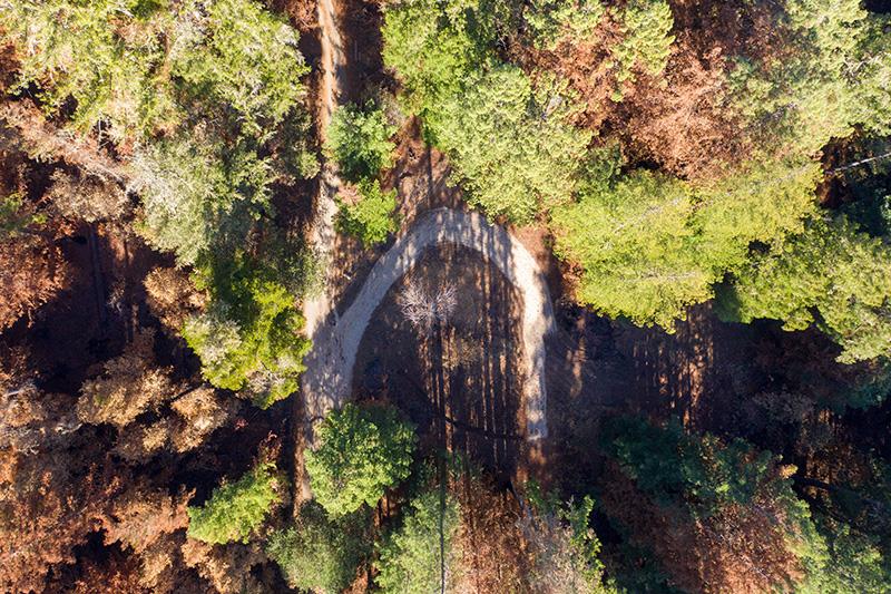 Lot 59 Kings Highway, BOULDER CREEK, California 95006, ,Lots And Land,For Sale,Kings Highway,40964068