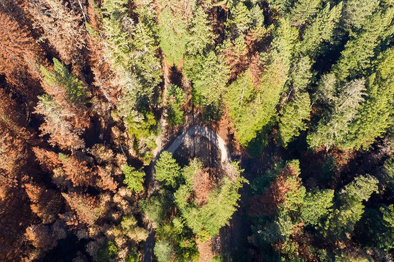 Lot 59 Kings Highway, BOULDER CREEK, California 95006, ,Lots And Land,For Sale,Kings Highway,40964068