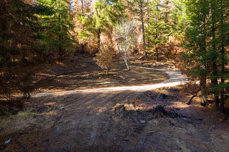 Lot 59 Kings Highway, BOULDER CREEK, California 95006, ,Lots And Land,For Sale,Kings Highway,40964068