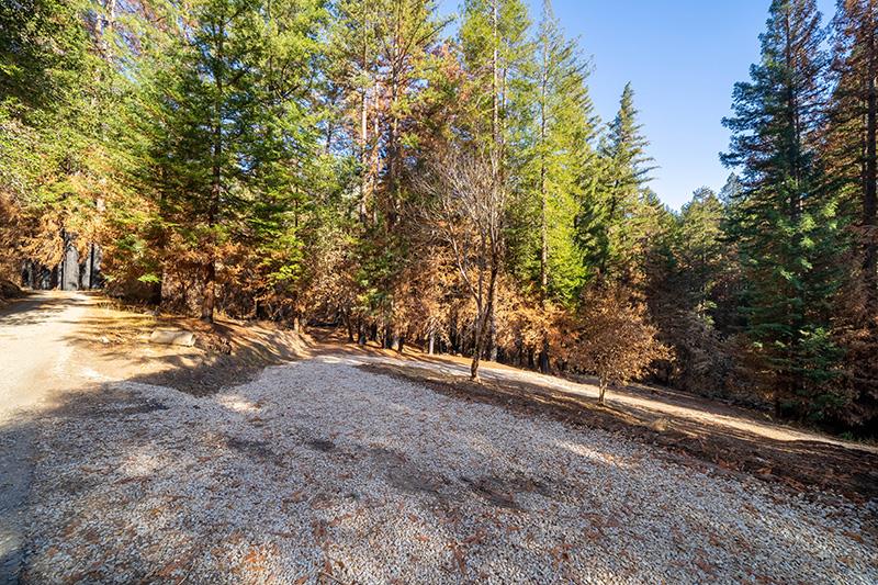 Lot 59 Kings Highway, BOULDER CREEK, California 95006, ,Lots And Land,For Sale,Kings Highway,40964068