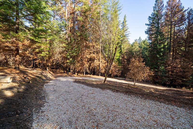 Lot 59 Kings Highway, BOULDER CREEK, California 95006, ,Lots And Land,For Sale,Kings Highway,40964068