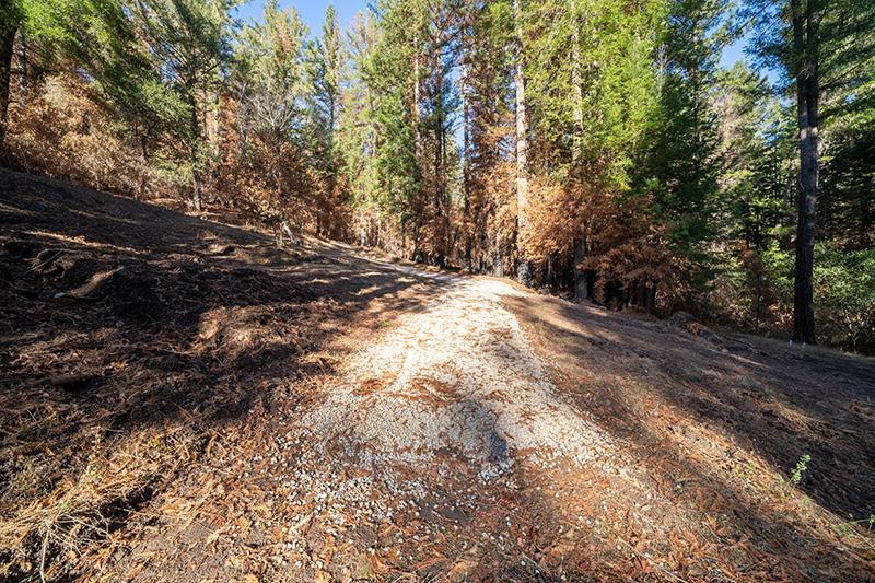 Lot 59 Kings Highway, BOULDER CREEK, California 95006, ,Lots And Land,For Sale,Kings Highway,40964068