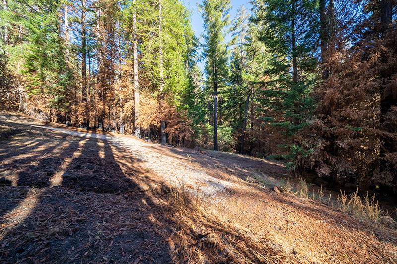 Lot 59 Kings Highway, BOULDER CREEK, California 95006, ,Lots And Land,For Sale,Kings Highway,40964068