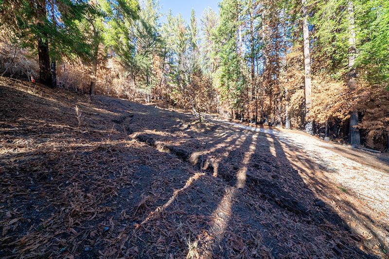 Lot 59 Kings Highway, BOULDER CREEK, California 95006, ,Lots And Land,For Sale,Kings Highway,40964068