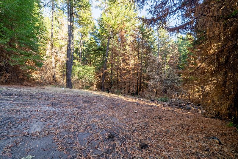 Lot 59 Kings Highway, BOULDER CREEK, California 95006, ,Lots And Land,For Sale,Kings Highway,40964068