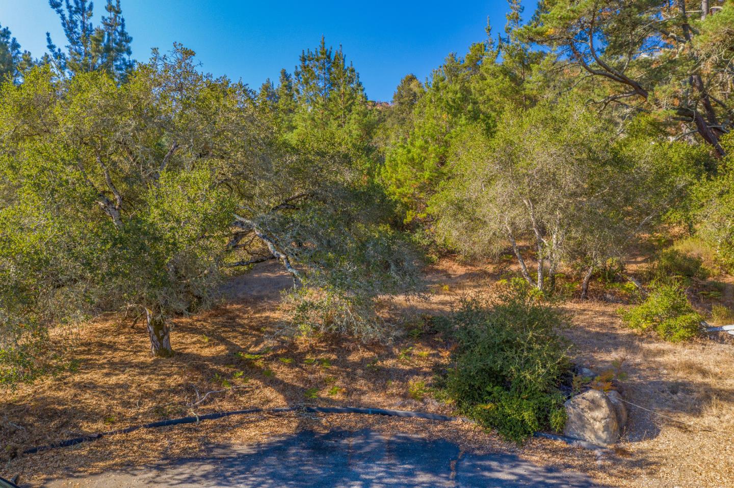 131 Geronimo Way, CORRALITOS (WATSONVILLE), California 95076, ,Lots And Land,For Sale,Geronimo Way,40962292