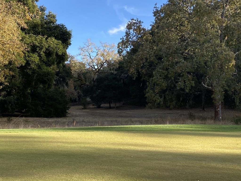 20 Pronghorn Run, CARMEL VALLEY, California 93923, ,Lots And Land,For Sale,Pronghorn Run,40965273