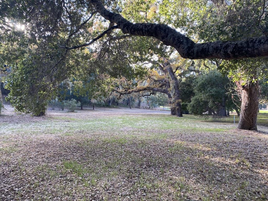 20 Pronghorn Run, CARMEL VALLEY, California 93923, ,Lots And Land,For Sale,Pronghorn Run,40965273