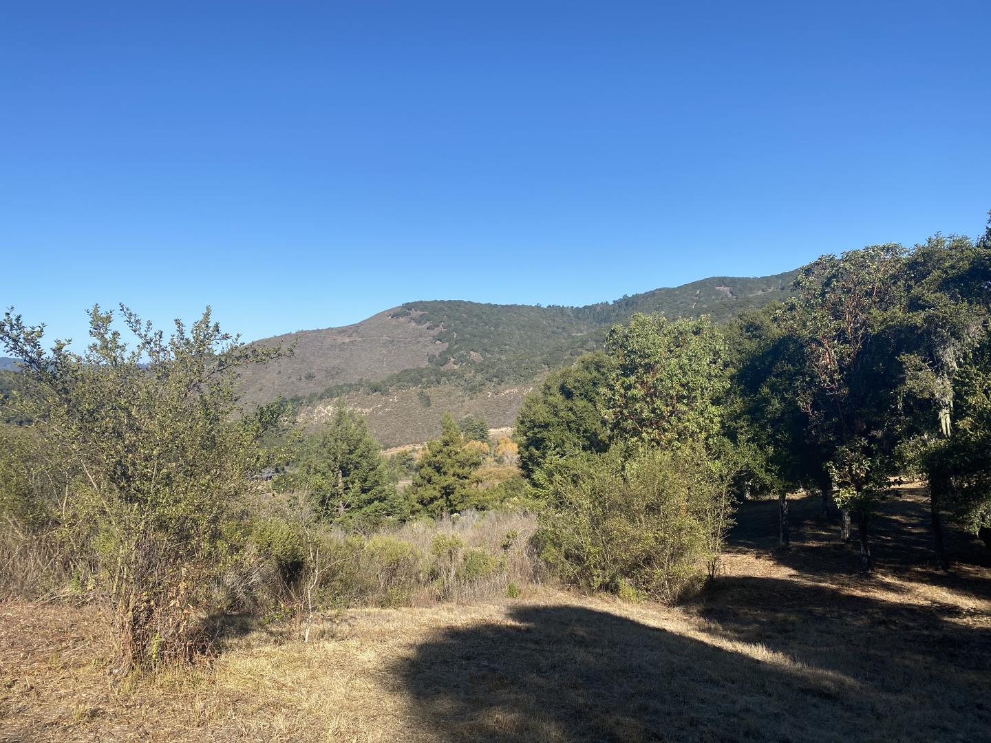 16 Potrero Trail, CARMEL VALLEY, California 93923, ,Lots And Land,For Sale,Potrero Trail,40963731