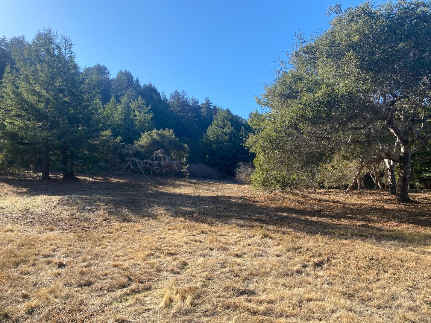 16 Potrero Trail, CARMEL VALLEY, California 93923, ,Lots And Land,For Sale,Potrero Trail,40963731