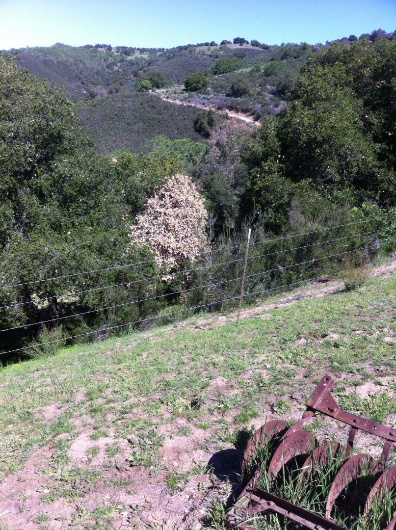 5 Asoleado Drive, CARMEL VALLEY, California 93924, ,Lots And Land,For Sale,Asoleado Drive,40975799