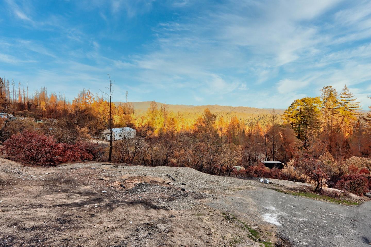 100 Wildberry Drive, BOULDER CREEK, California 95006, ,Lots And Land,For Sale,Wildberry Drive,40962000
