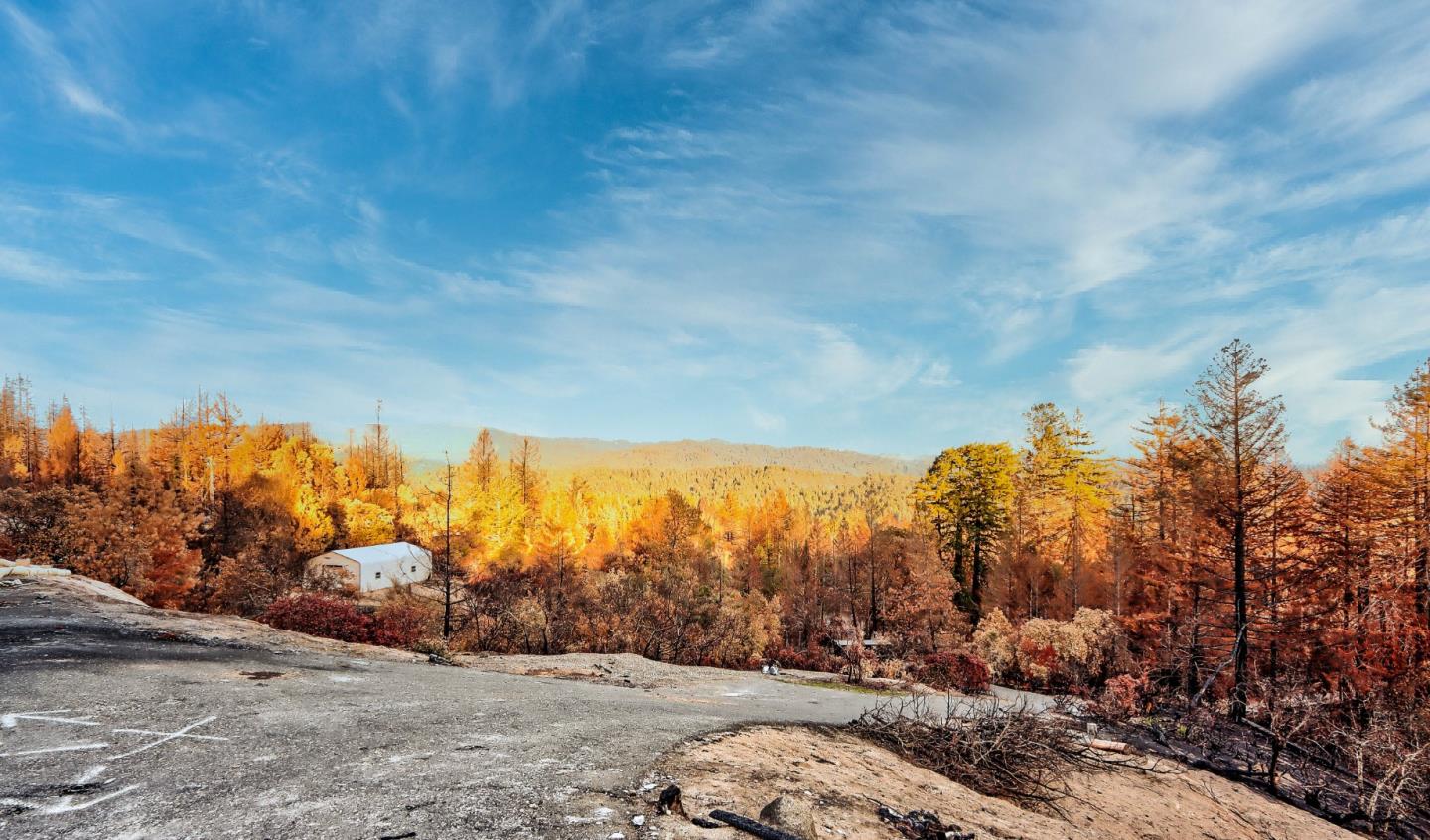 100 Wildberry Drive, BOULDER CREEK, California 95006, ,Lots And Land,For Sale,Wildberry Drive,40962000