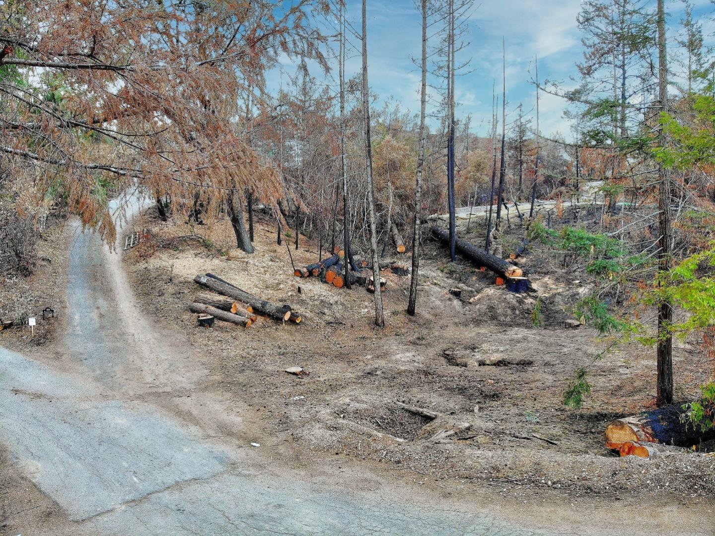 100 Wildberry Drive, BOULDER CREEK, California 95006, ,Lots And Land,For Sale,Wildberry Drive,40962000