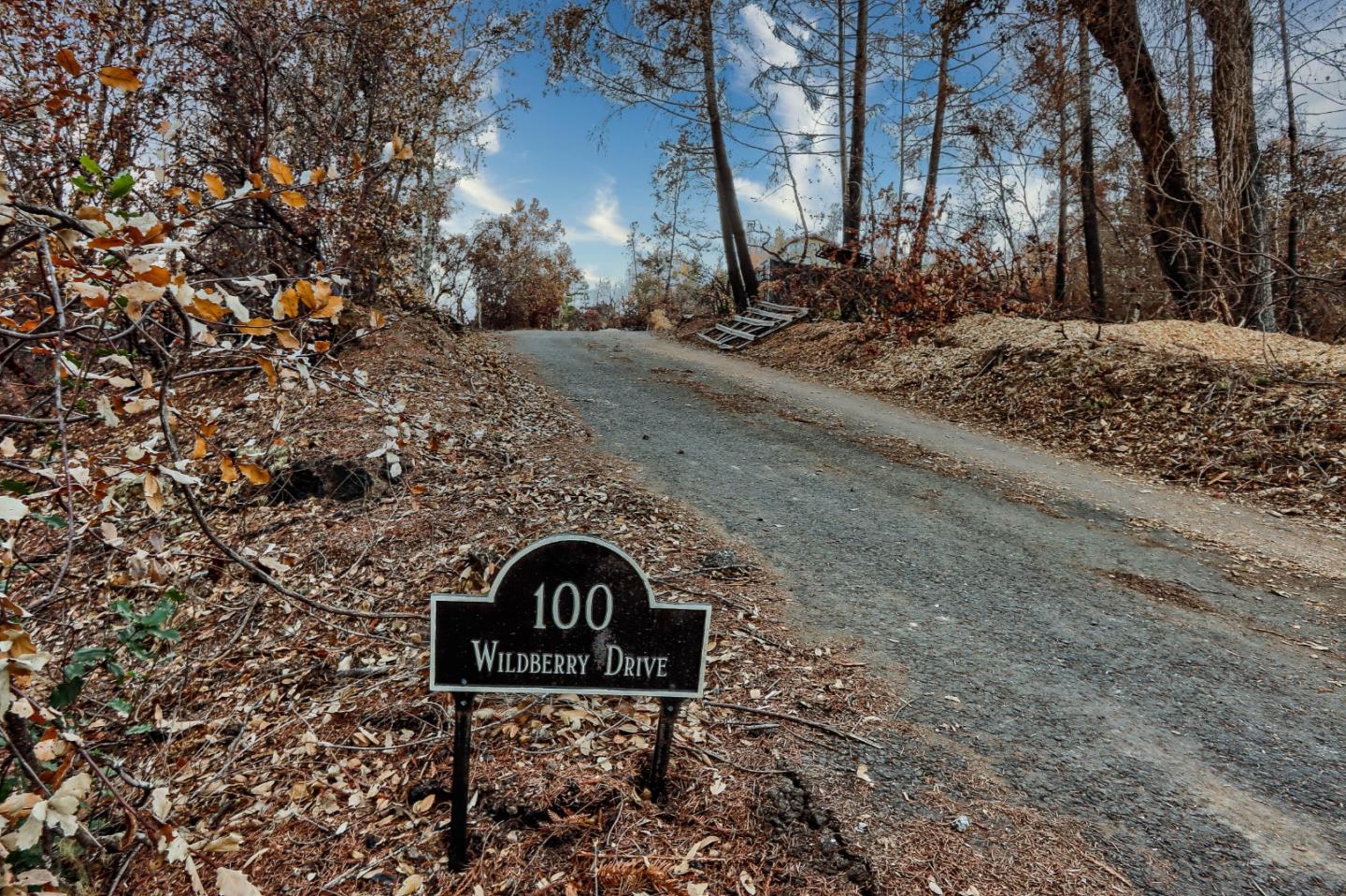 100 Wildberry Drive, BOULDER CREEK, California 95006, ,Lots And Land,For Sale,Wildberry Drive,40962000