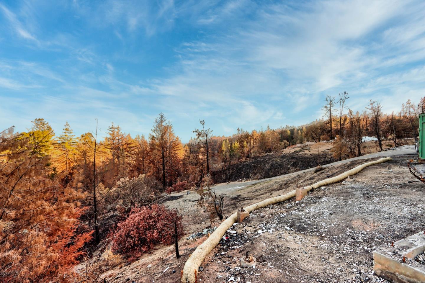 100 Wildberry Drive, BOULDER CREEK, California 95006, ,Lots And Land,For Sale,Wildberry Drive,40962000