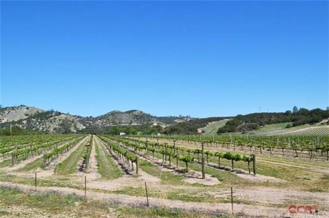 62941 Argyle Road, KING CITY, California 93930, ,Lots And Land,For Sale,Argyle Road,40961964