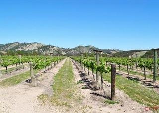 62941 Argyle Road, KING CITY, California 93930, ,Lots And Land,For Sale,Argyle Road,40961964