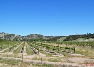 62941 Argyle Road, KING CITY, California 93930, ,Lots And Land,For Sale,Argyle Road,40961964