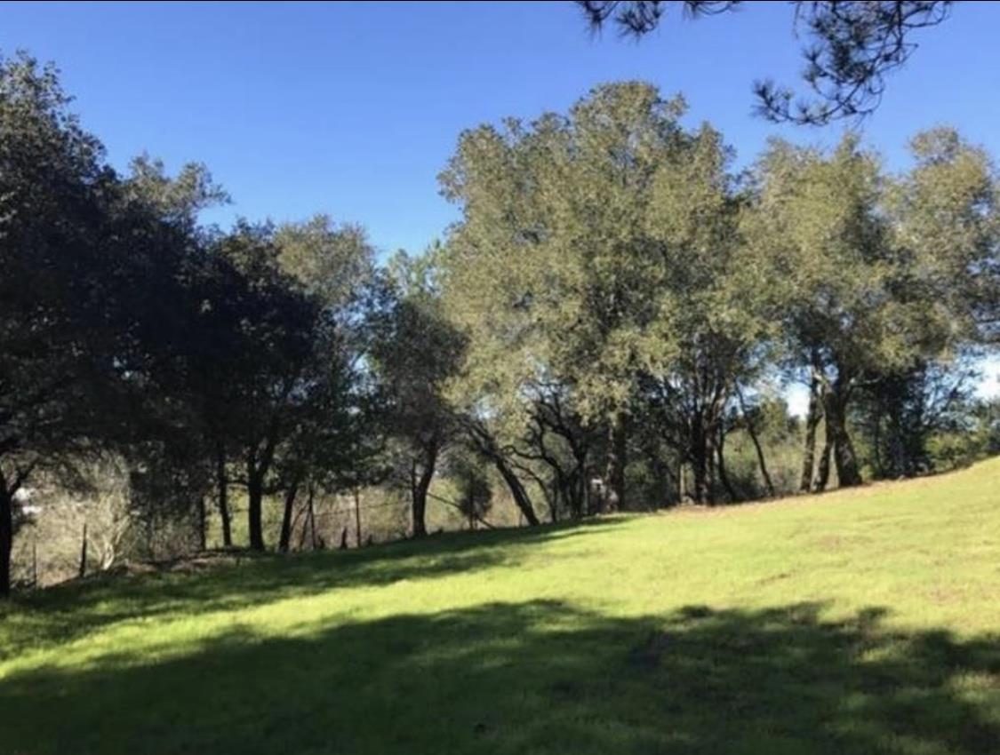 0 Sherman, SANTA CRUZ, California 95066, ,Lots And Land,For Sale,Sherman,40962321