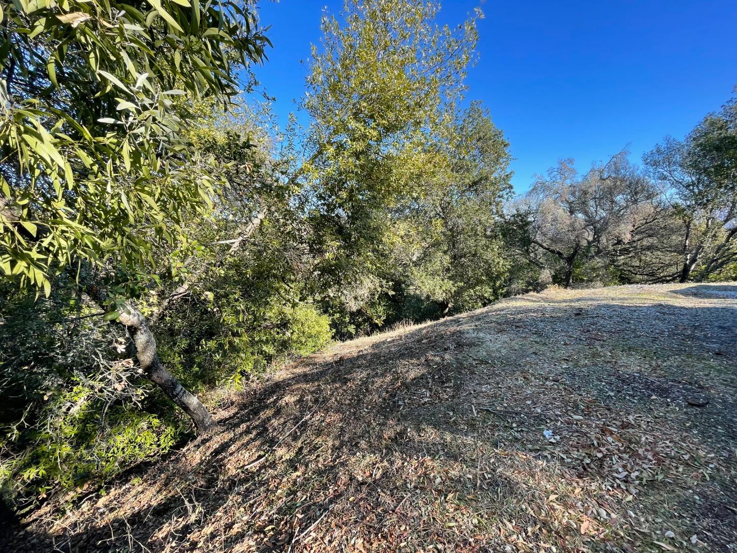 42 Charles Hill Circle, ORINDA, California 94563, ,Lots And Land,For Sale,Charles Hill Circle,40963179