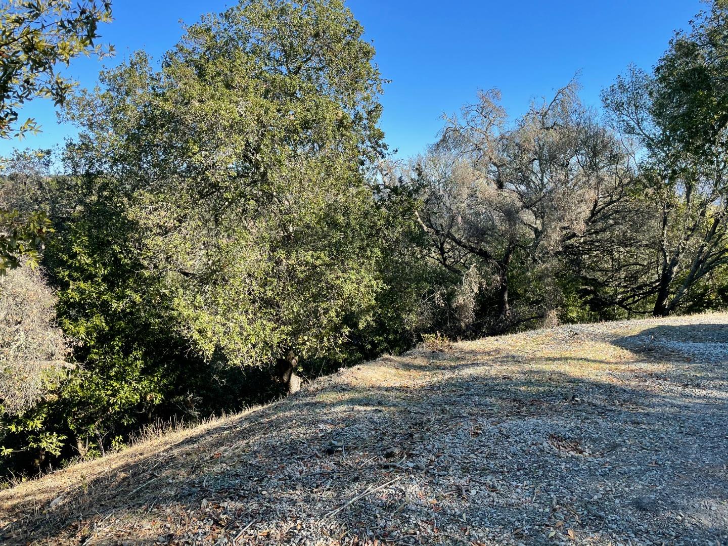 42 Charles Hill Circle, ORINDA, California 94563, ,Lots And Land,For Sale,Charles Hill Circle,40963179
