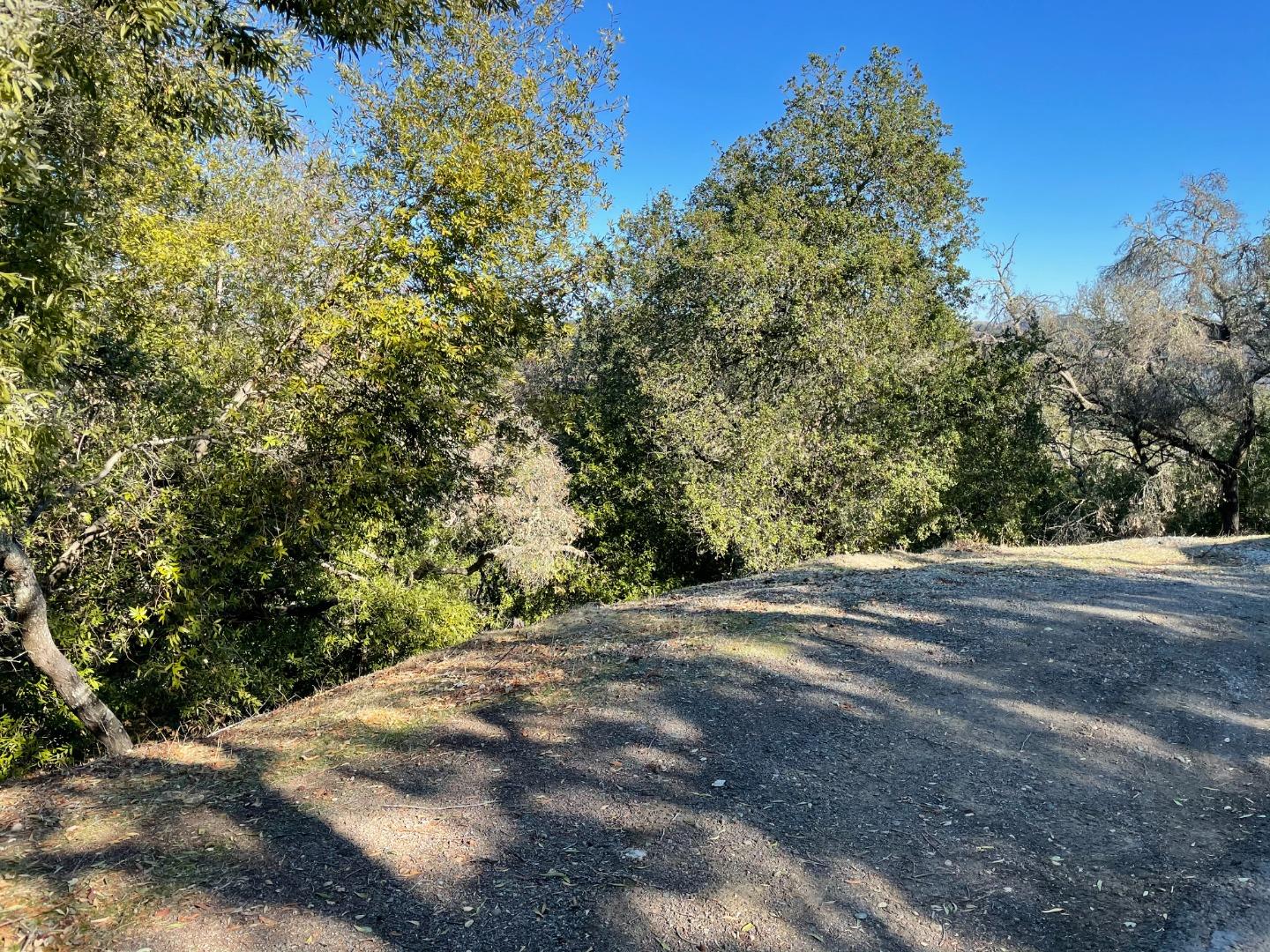 42 Charles Hill Circle, ORINDA, California 94563, ,Lots And Land,For Sale,Charles Hill Circle,40963179