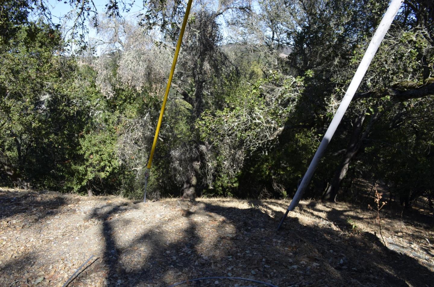 42 Charles Hill Circle, ORINDA, California 94563, ,Lots And Land,For Sale,Charles Hill Circle,40963179