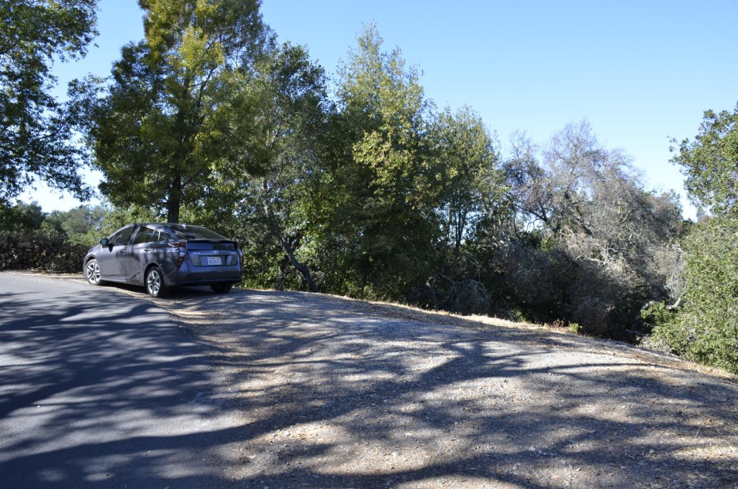 42 Charles Hill Circle, ORINDA, California 94563, ,Lots And Land,For Sale,Charles Hill Circle,40963179