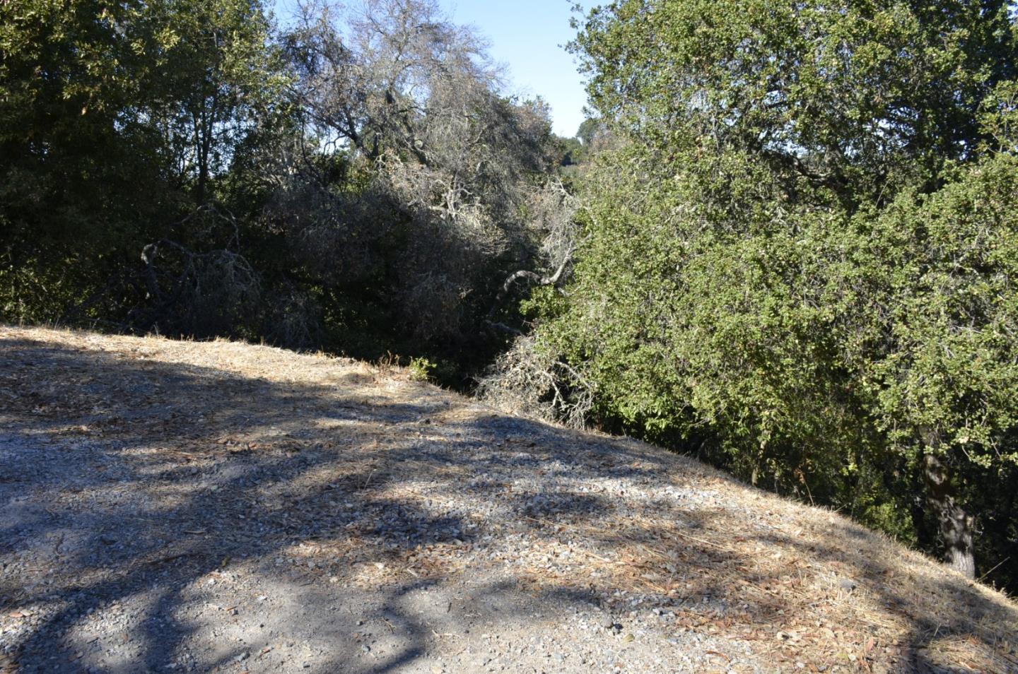 42 Charles Hill Circle, ORINDA, California 94563, ,Lots And Land,For Sale,Charles Hill Circle,40963179