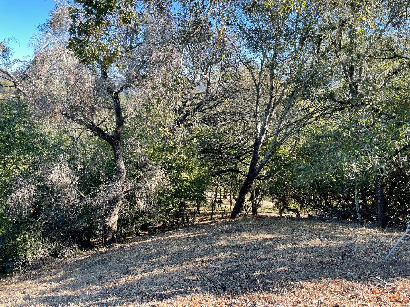 42 Charles Hill Circle, ORINDA, California 94563, ,Lots And Land,For Sale,Charles Hill Circle,40963179