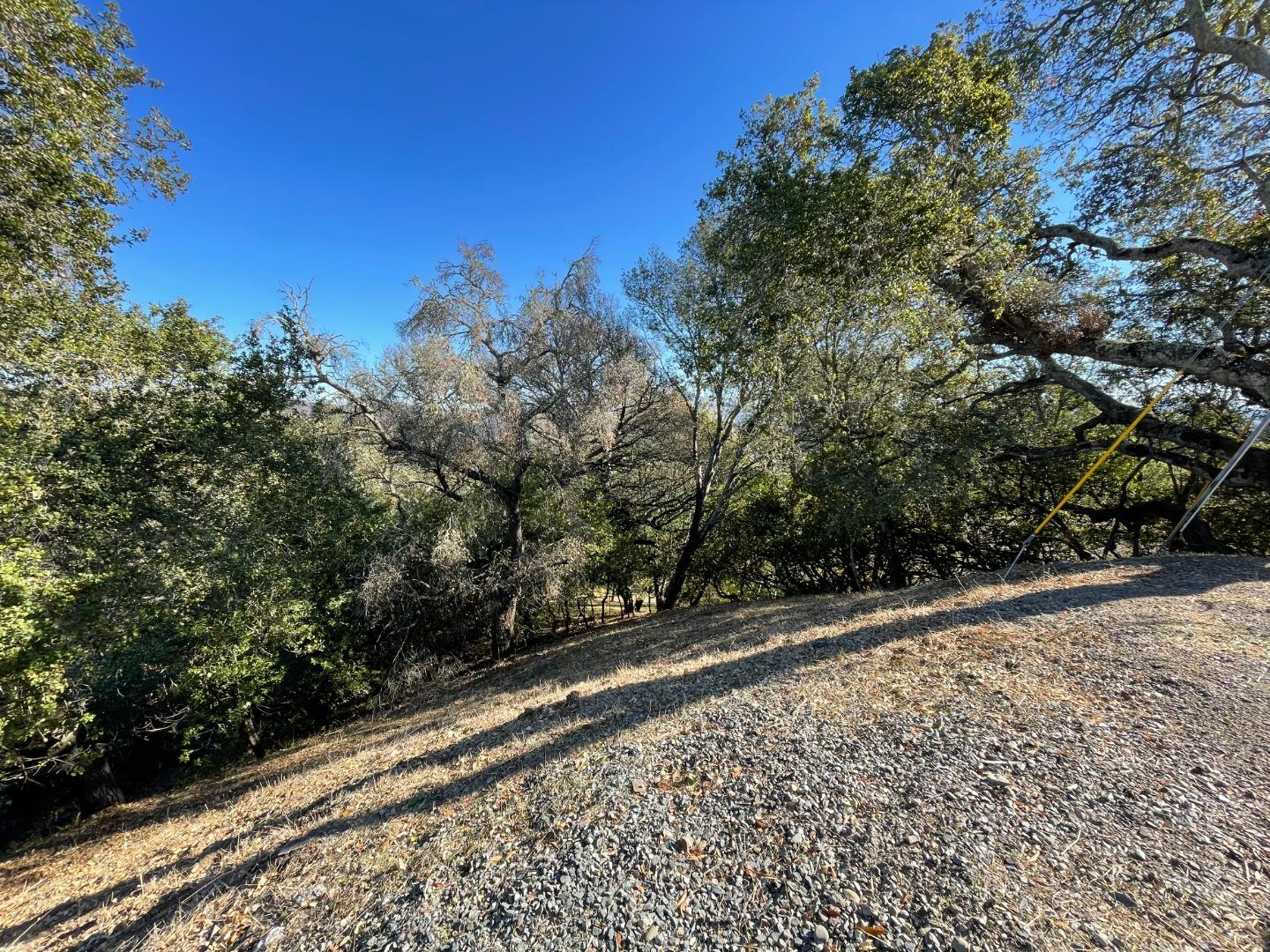 42 Charles Hill Circle, ORINDA, California 94563, ,Lots And Land,For Sale,Charles Hill Circle,40963179