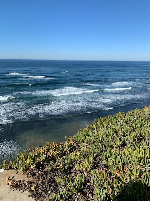 25 Bernal Avenue, MOSS BEACH, California 94038, ,Lots And Land,For Sale,Bernal Avenue,40961963