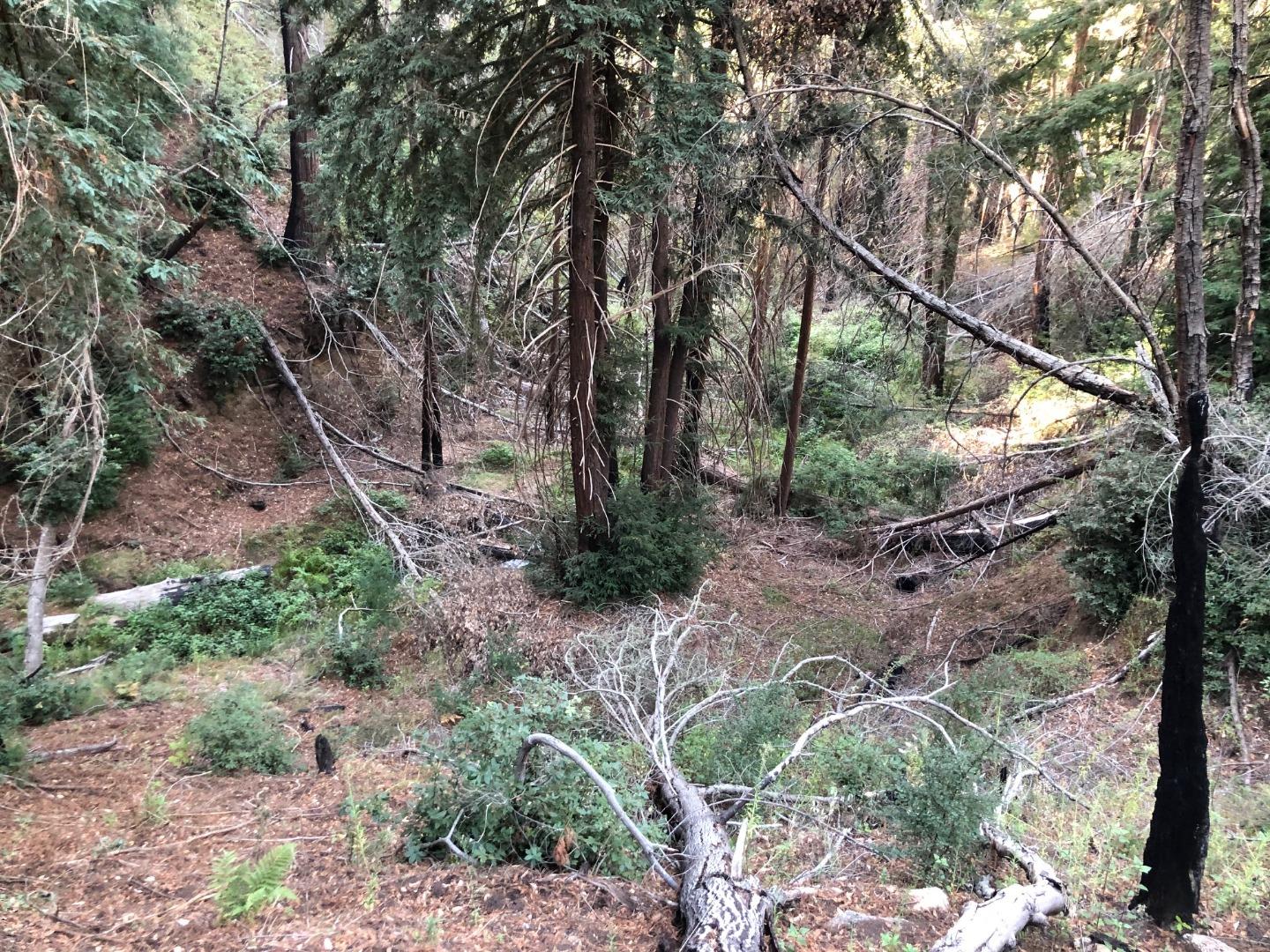 37767 Palo Colorado Road, CARMEL, California 93923, ,Lots And Land,For Sale,Palo Colorado Road,40964441