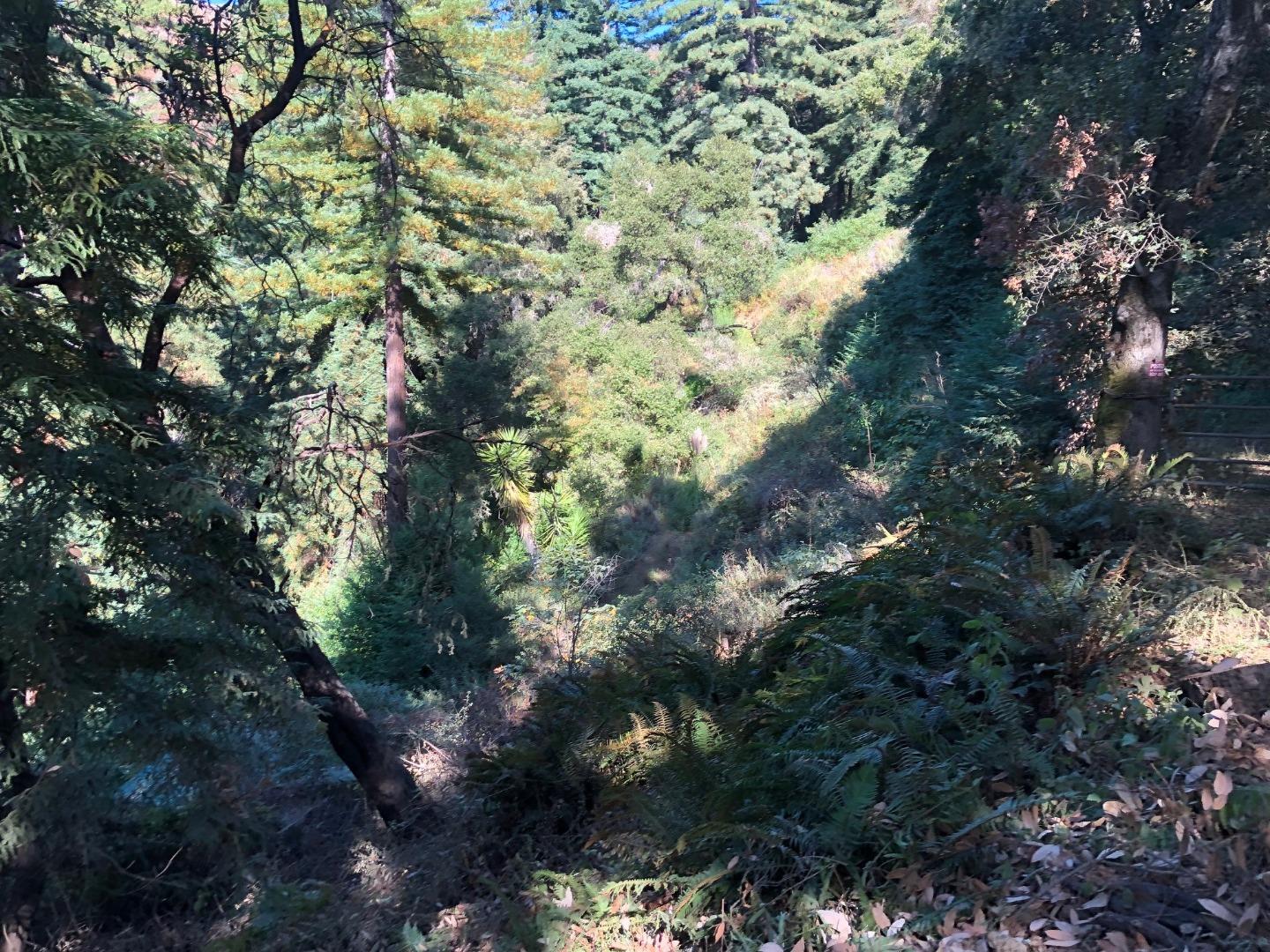 37767 Palo Colorado Road, CARMEL, California 93923, ,Lots And Land,For Sale,Palo Colorado Road,40964441