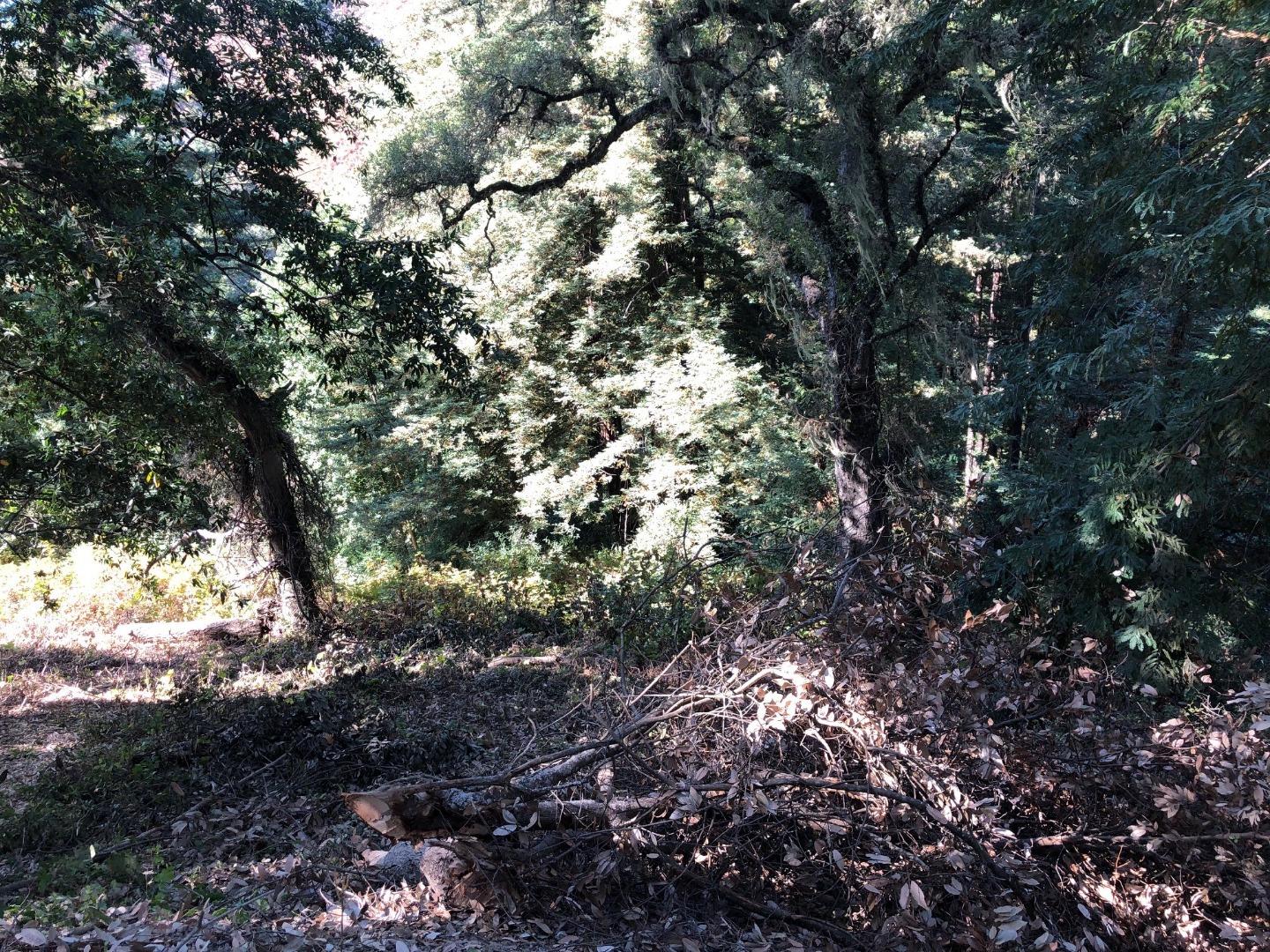 37767 Palo Colorado Road, CARMEL, California 93923, ,Lots And Land,For Sale,Palo Colorado Road,40964441
