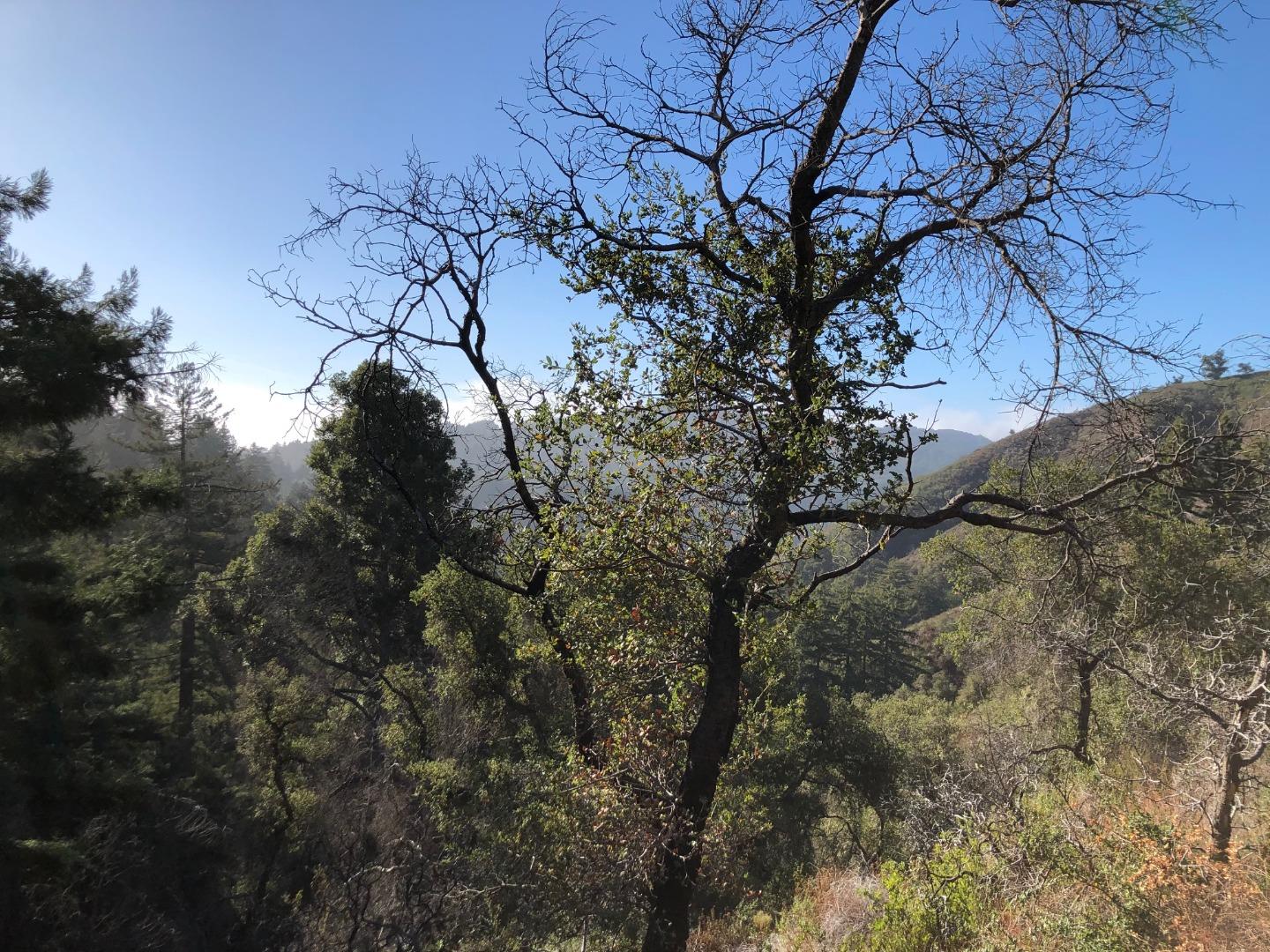 37767 Palo Colorado Road, CARMEL, California 93923, ,Lots And Land,For Sale,Palo Colorado Road,40964441