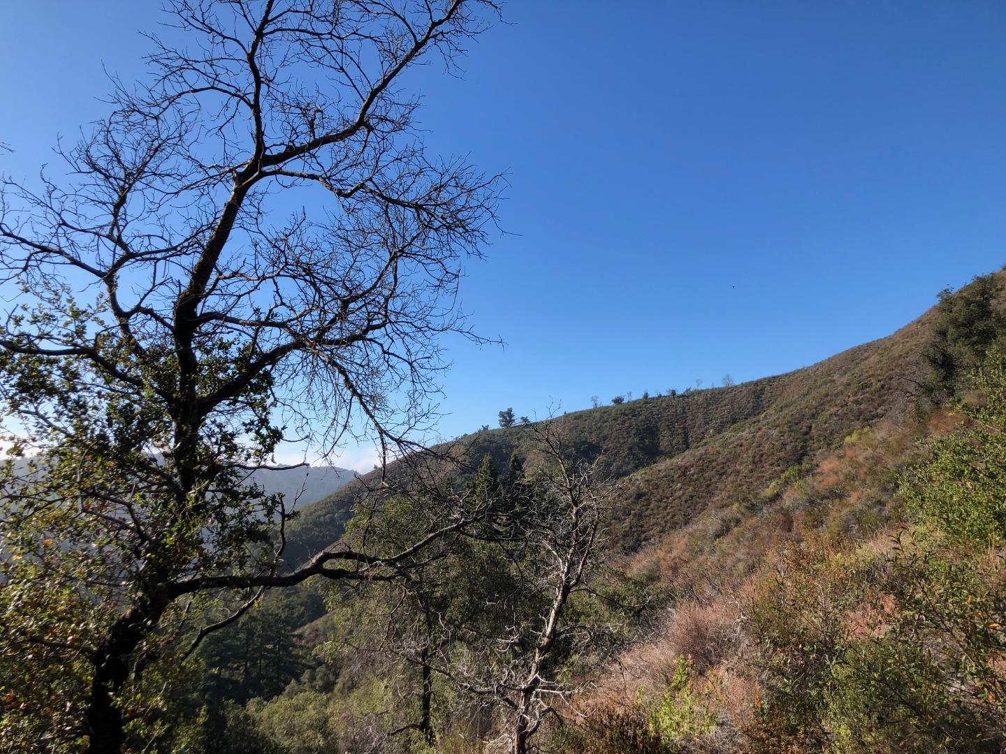 37767 Palo Colorado Road, CARMEL, California 93923, ,Lots And Land,For Sale,Palo Colorado Road,40964441