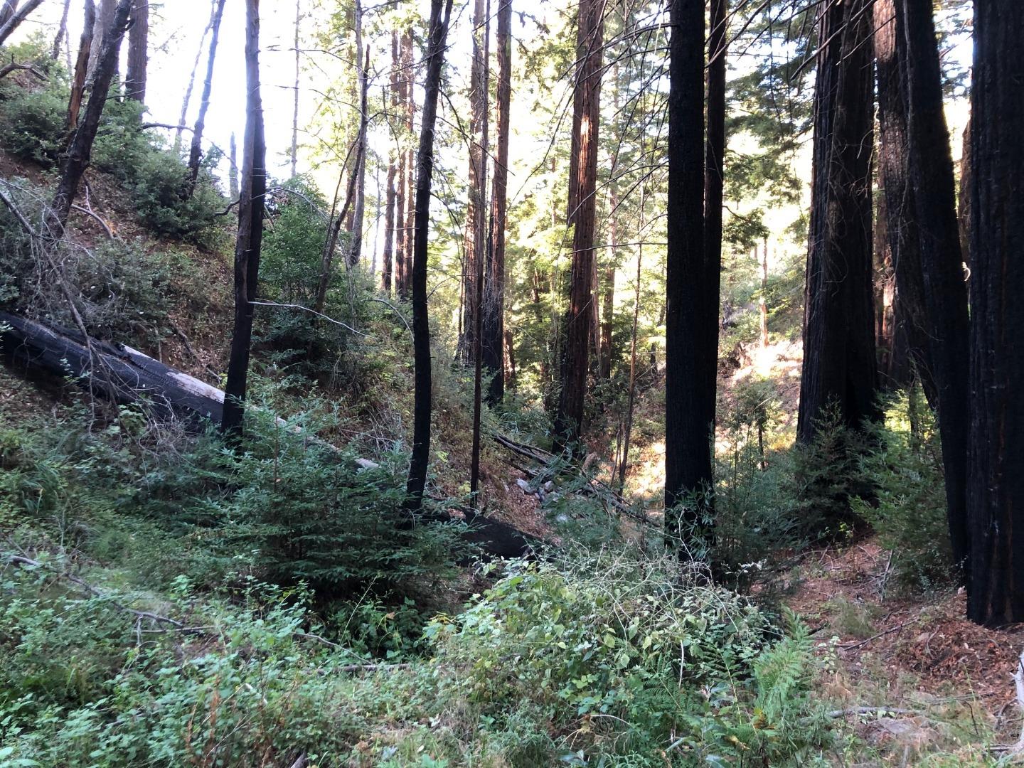 37767 Palo Colorado Road, CARMEL, California 93923, ,Lots And Land,For Sale,Palo Colorado Road,40964441