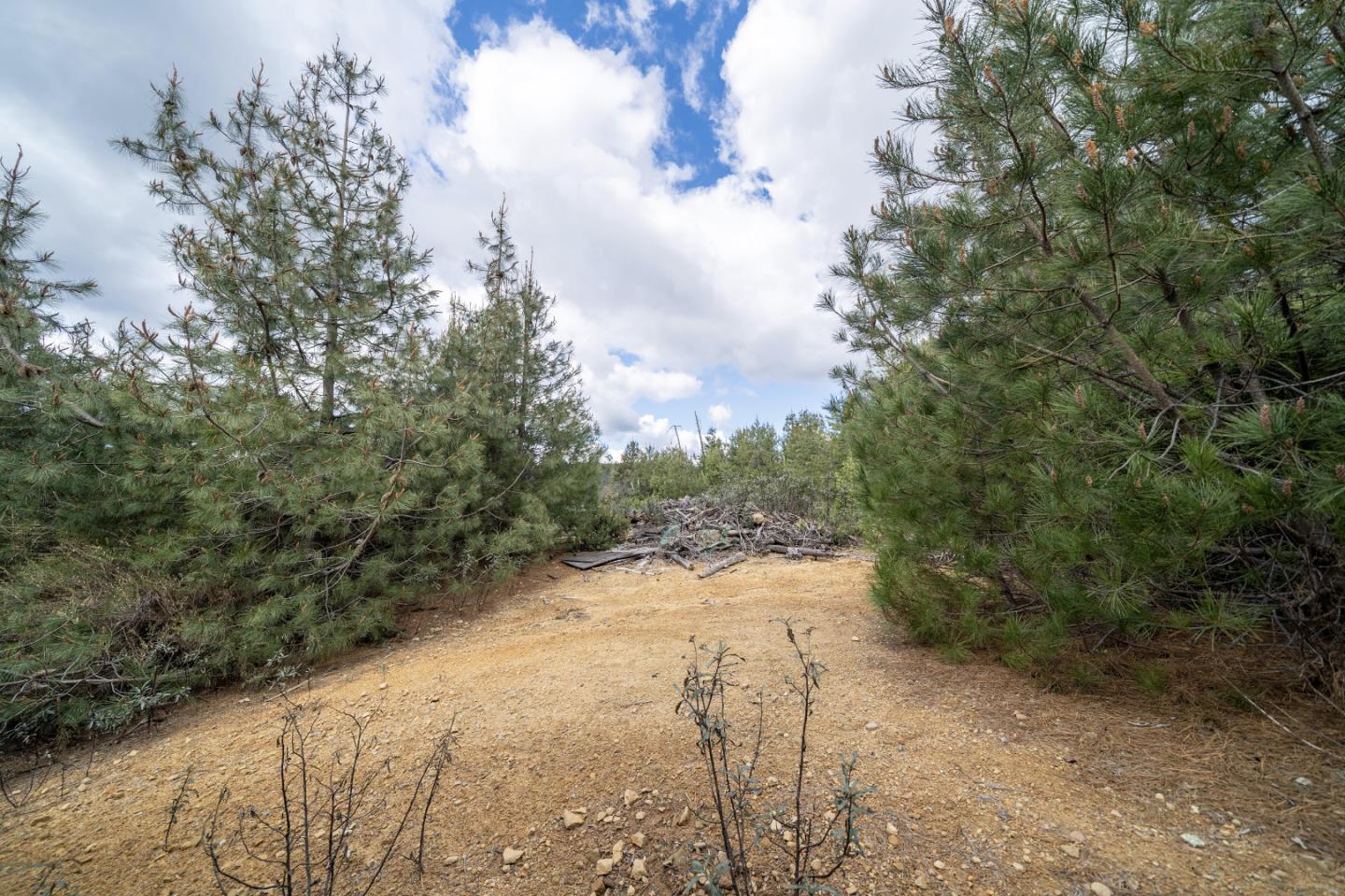 Lot13 Summit, CORRALITOS (WATSONVILLE), California 95076, ,Lots And Land,For Sale,Summit,40962002